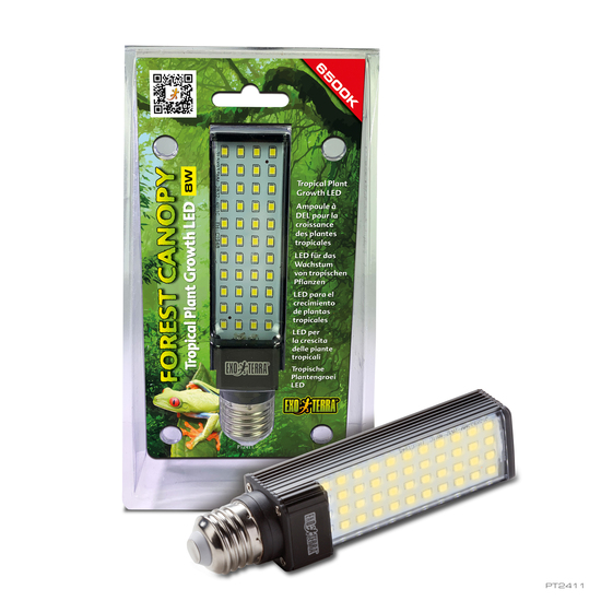 FOREST CANOPY LED