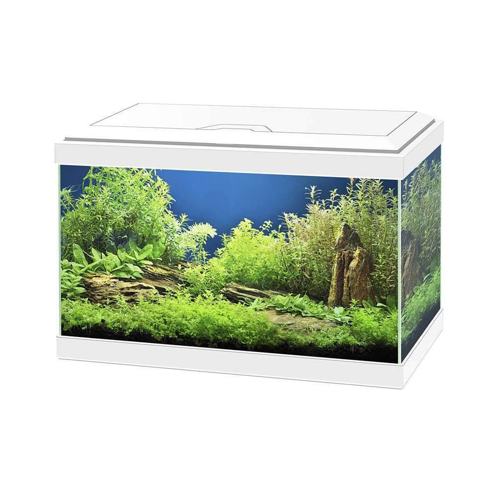 AQUA 20 BIANCO CON ILLUMINAZIONE CIANO