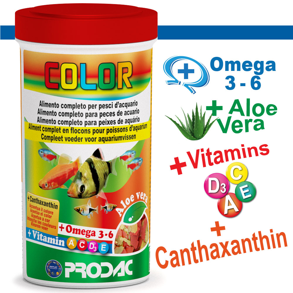 PRODAC COLOR 250ML