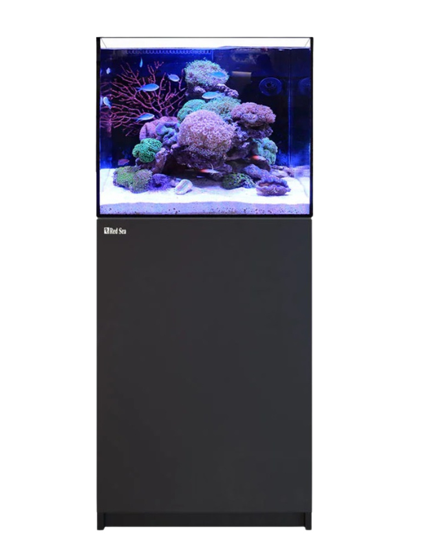 RED SEA REEFER 170 G3 BLACK