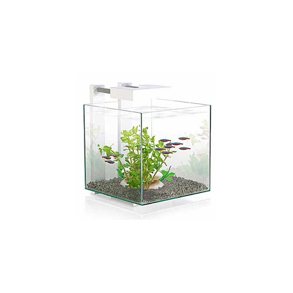 CIANO NEXUS PURE CUBE 14L WHITE