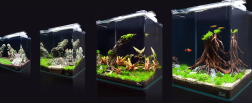 KUBUS 30 ESSENTIAL AQUATLANTIS