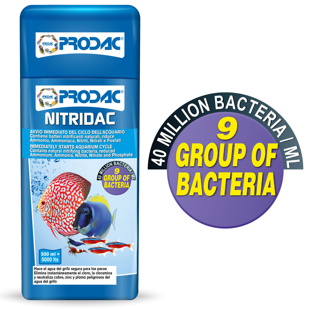 NITRIDAC 100ml 