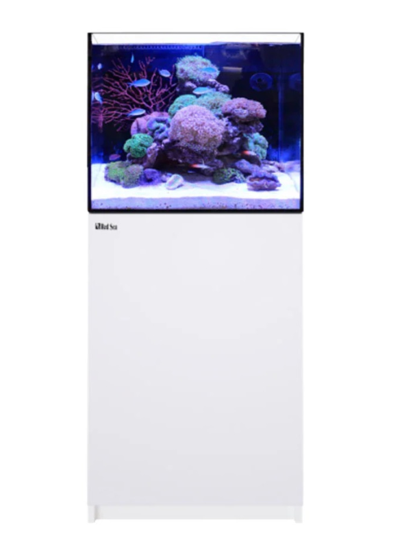 RED SEA REEFER 170 G3 WHITE 