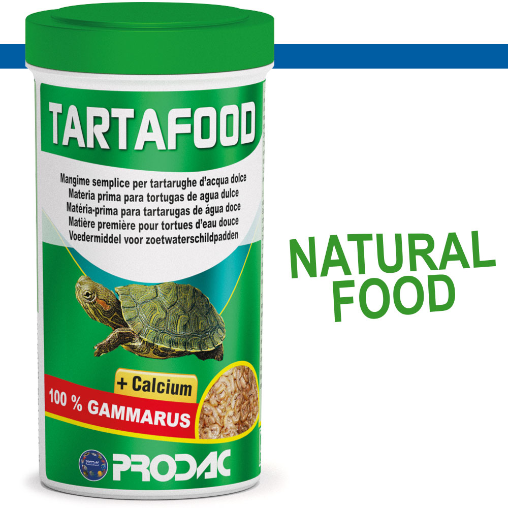TARTAFOOD 1200ml
