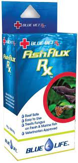 Blue Vet Fish Flux 2000 MG: Amazon.it: Prodotti per animali domestici