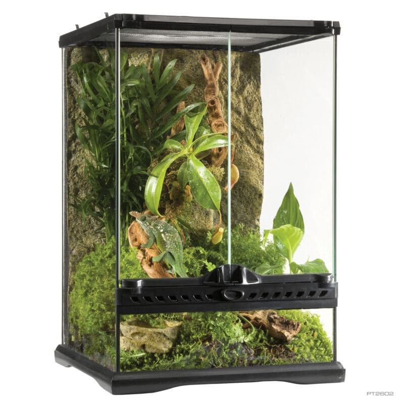 GLASS TERRARIUM 30x30x45 cm